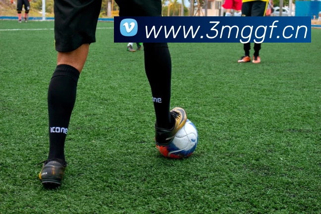 环球体育官网app登录入口品牌故事