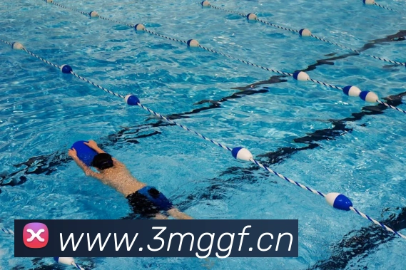 环球体育官网app登录入口服务体系